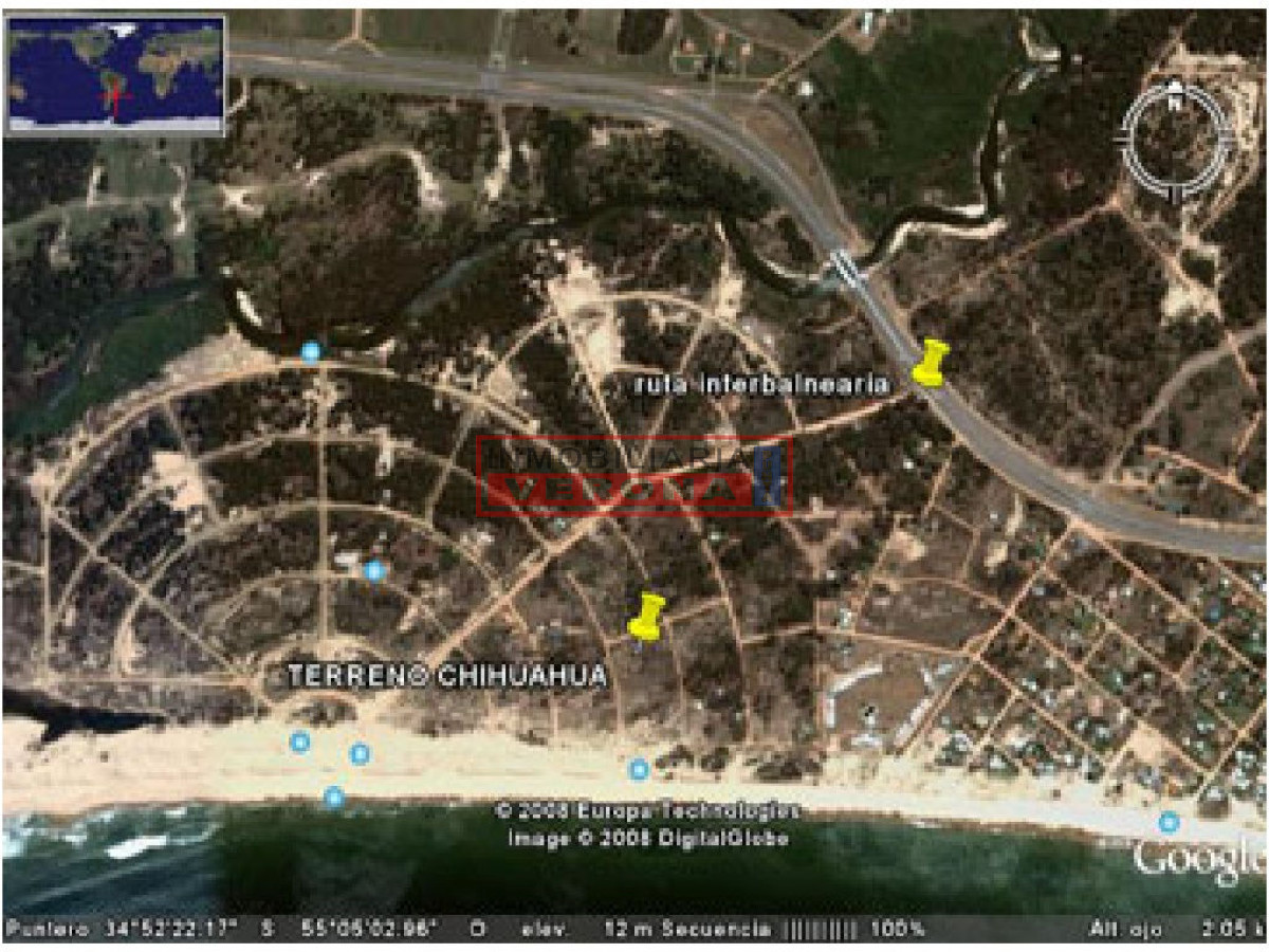 Chihuahua - GoPunta - Portal Inmobiliario de Punta del Este - Maldonado