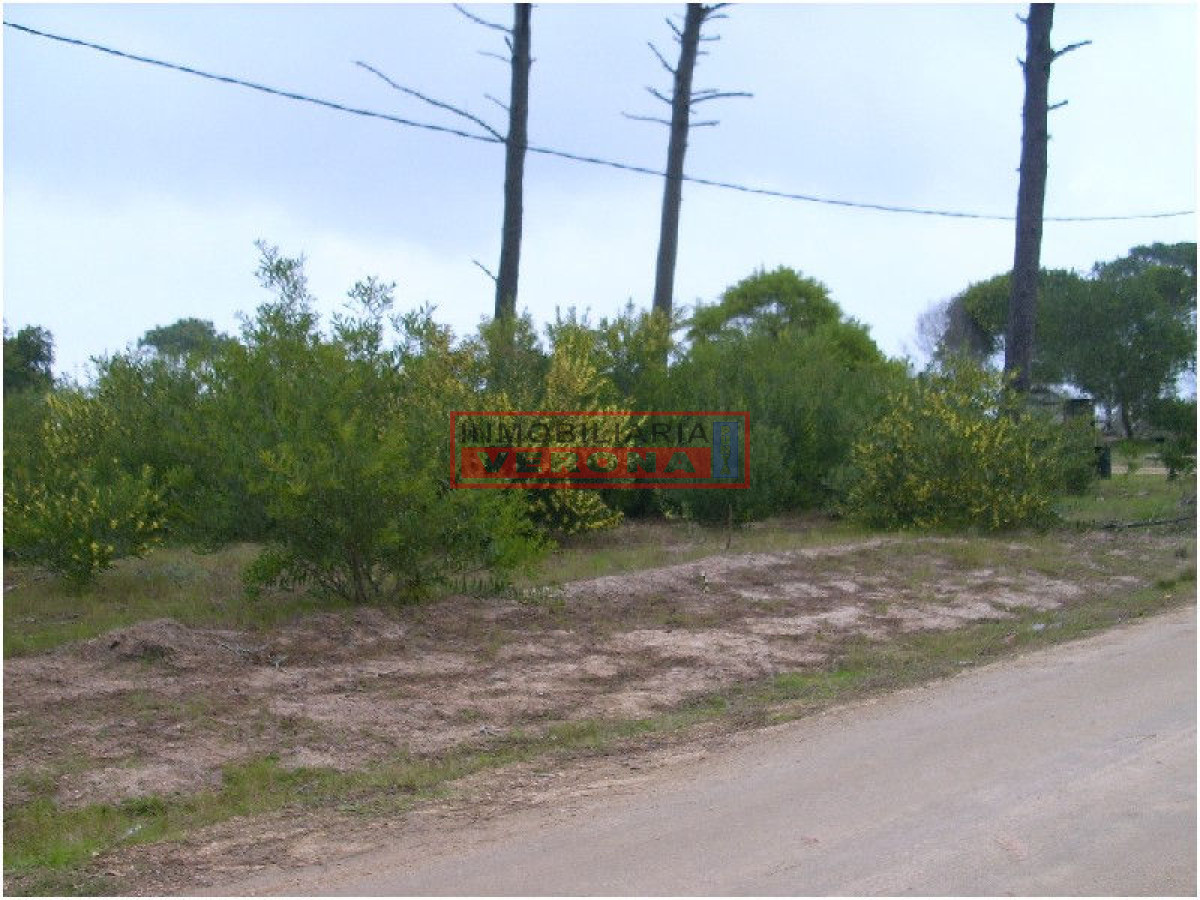 La Juanita - GoPunta - Portal Inmobiliario de Punta del Este - Maldonado