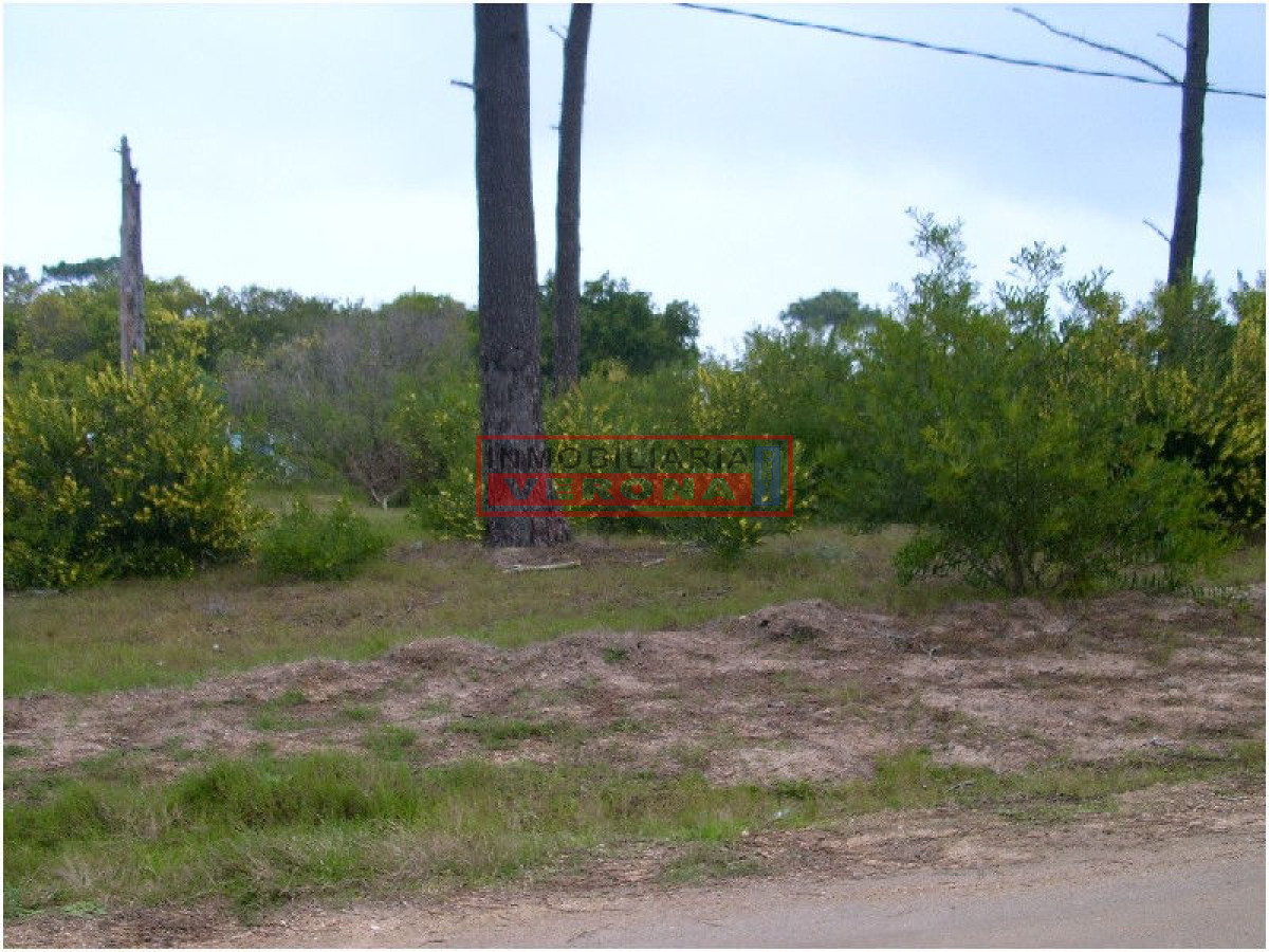 La Juanita - GoPunta - Portal Inmobiliario de Punta del Este - Maldonado