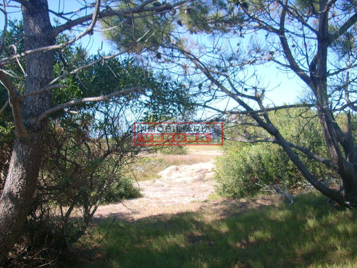 La Juanita - GoPunta - Portal Inmobiliario de Punta del Este - Maldonado
