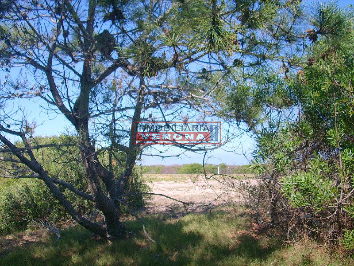 La Juanita - GoPunta - Portal Inmobiliario de Punta del Este - Maldonado