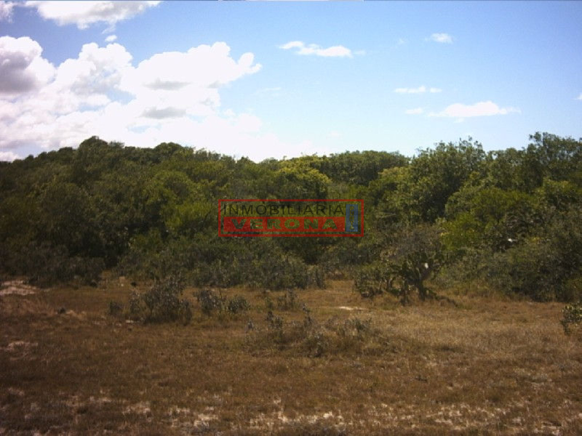Josu00e9 Ignacio - GoPunta - Portal Inmobiliario de Punta del Este - Maldonado