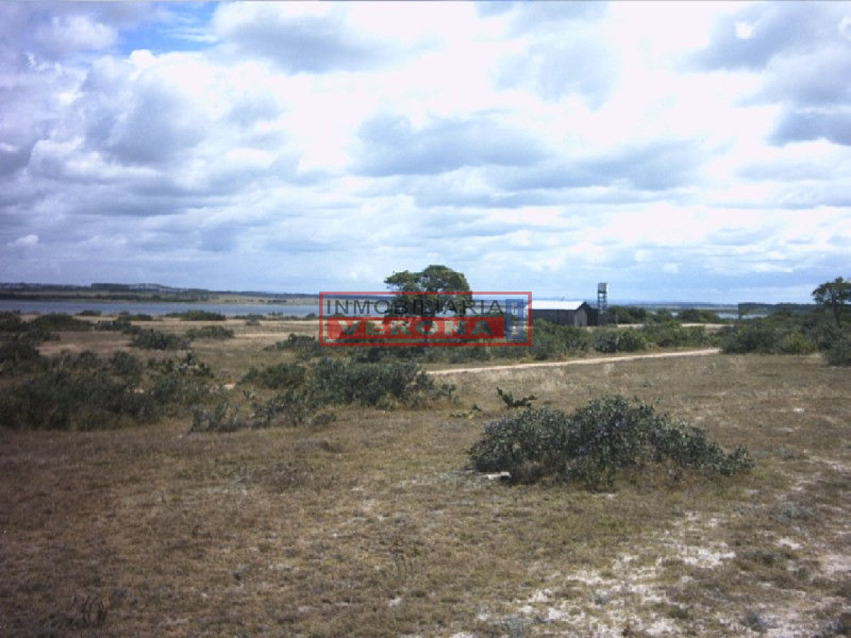 Josu00e9 Ignacio - GoPunta - Portal Inmobiliario de Punta del Este - Maldonado