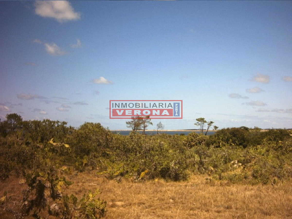 Josu00e9 Ignacio - GoPunta - Portal Inmobiliario de Punta del Este - Maldonado