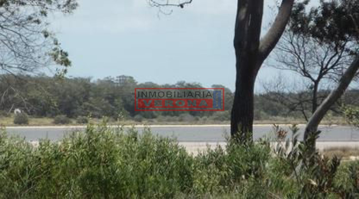 Santa Monica - GoPunta - Portal Inmobiliario de Punta del Este - Maldonado