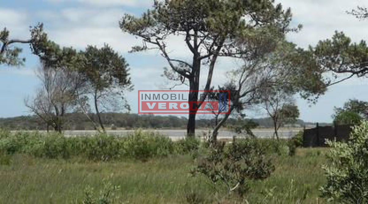 Santa Monica - GoPunta - Portal Inmobiliario de Punta del Este - Maldonado