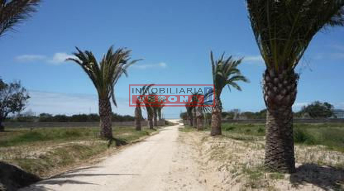 Santa Monica - GoPunta - Portal Inmobiliario de Punta del Este - Maldonado