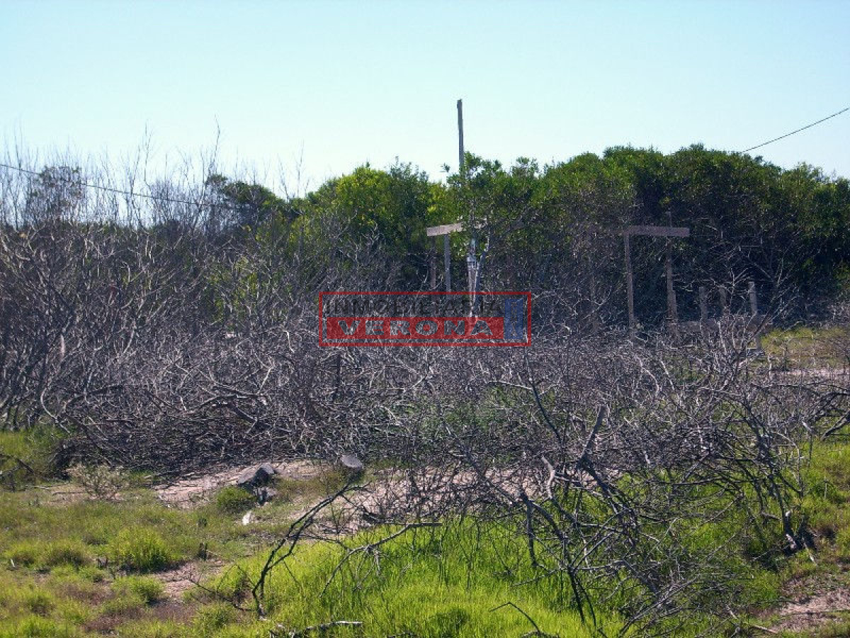 La Juanita - GoPunta - Portal Inmobiliario de Punta del Este - Maldonado