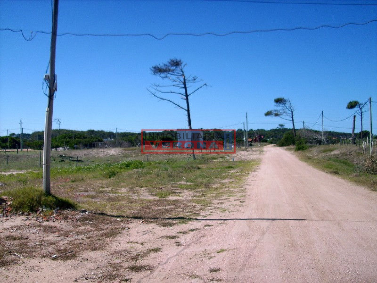 La Juanita - GoPunta - Portal Inmobiliario de Punta del Este - Maldonado