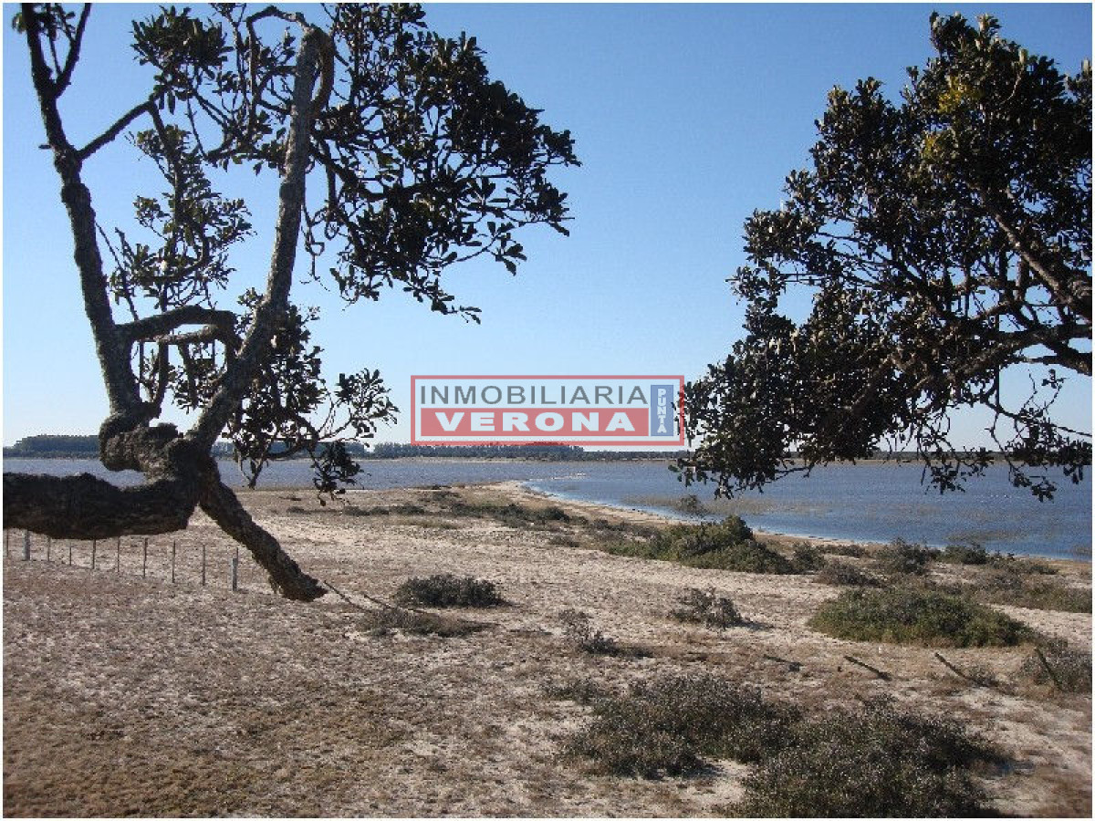 Josu00e9 Ignacio - GoPunta - Portal Inmobiliario de Punta del Este - Maldonado