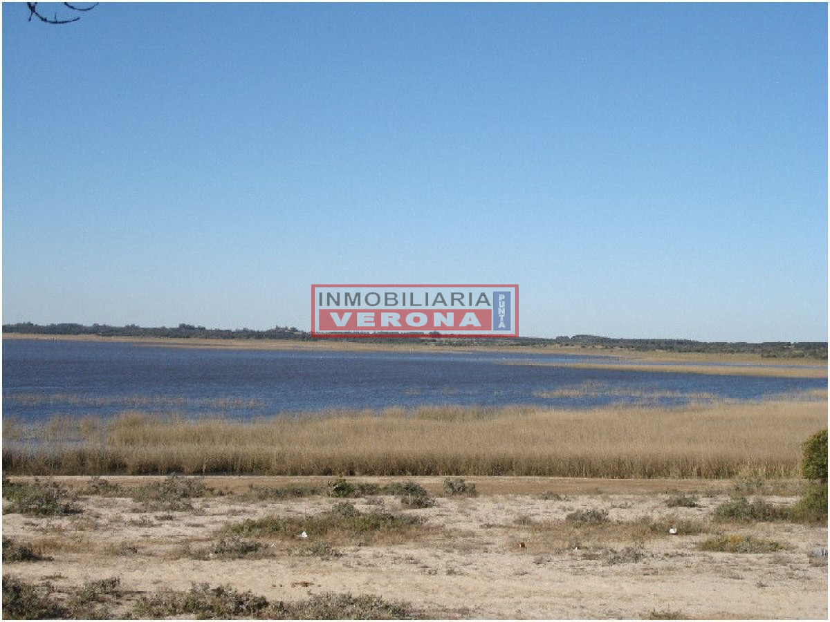 Josu00e9 Ignacio - GoPunta - Portal Inmobiliario de Punta del Este - Maldonado