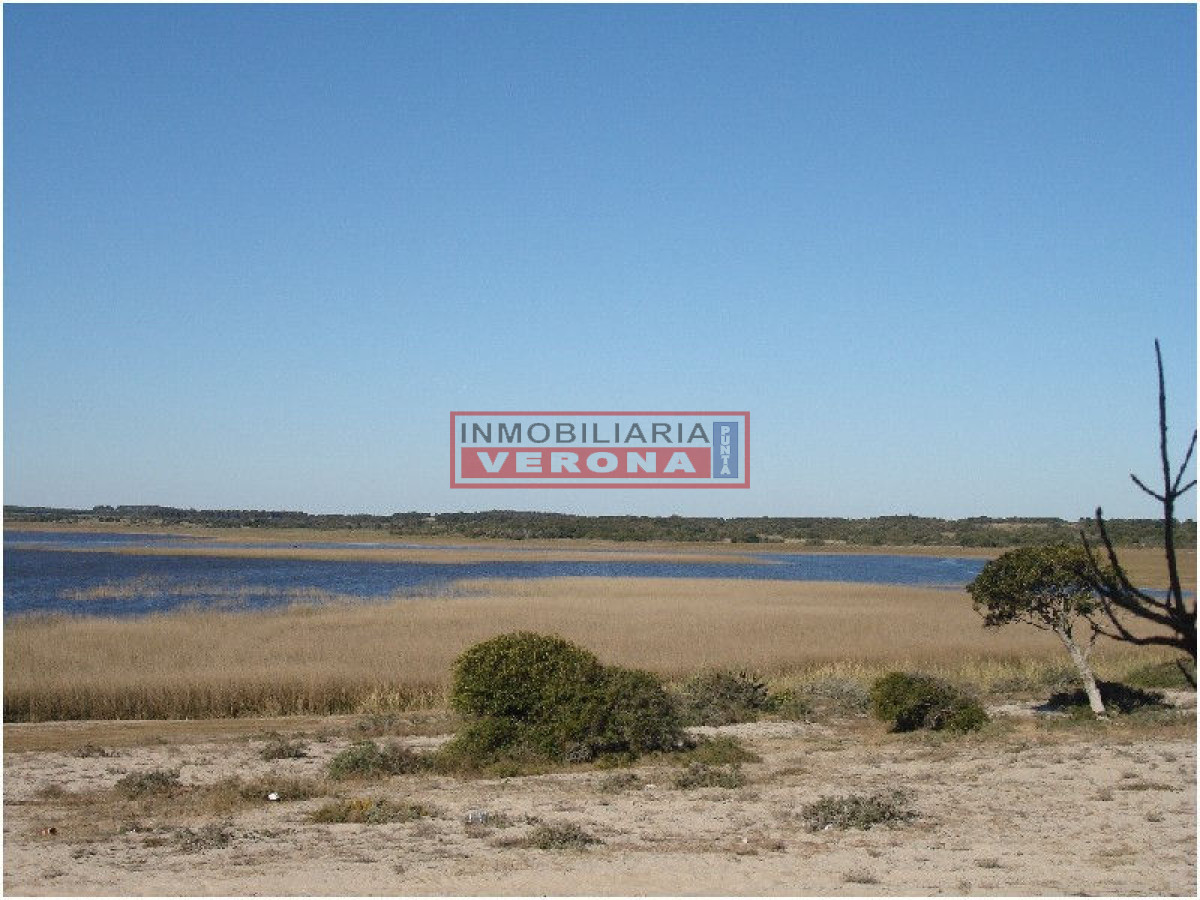Josu00e9 Ignacio - GoPunta - Portal Inmobiliario de Punta del Este - Maldonado