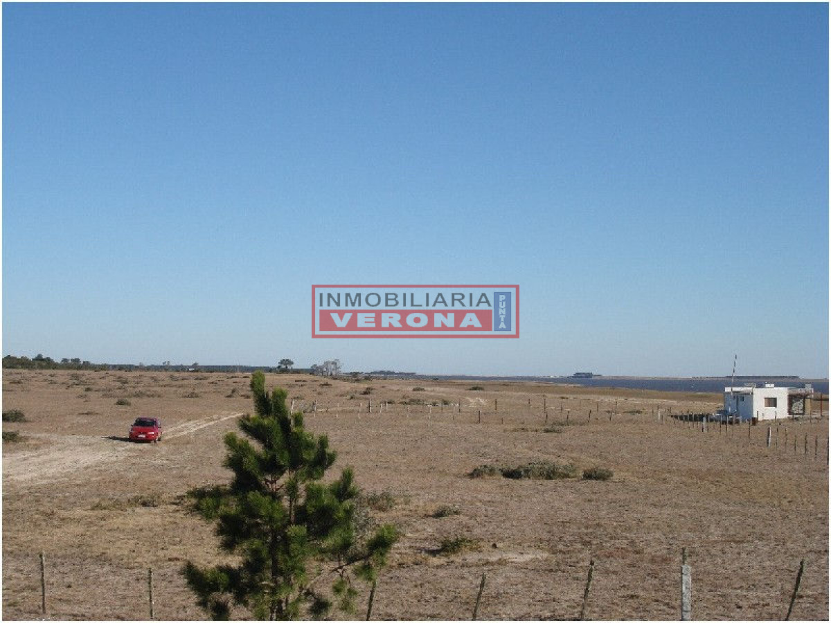 Josu00e9 Ignacio - GoPunta - Portal Inmobiliario de Punta del Este - Maldonado