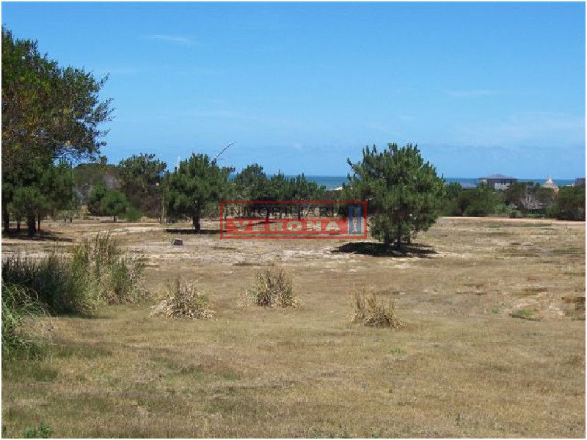 Josu00e9 Ignacio - GoPunta - Portal Inmobiliario de Punta del Este - Maldonado