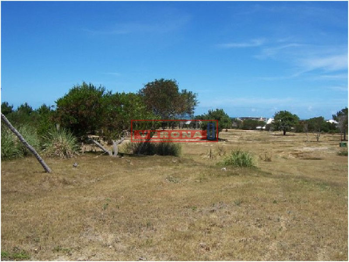 Josu00e9 Ignacio - GoPunta - Portal Inmobiliario de Punta del Este - Maldonado