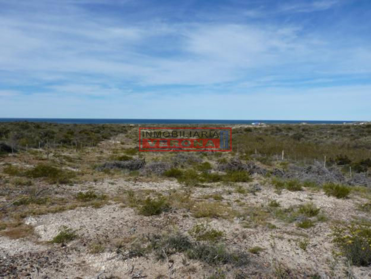 Punta Ballena - GoPunta - Portal Inmobiliario de Punta del Este - Maldonado