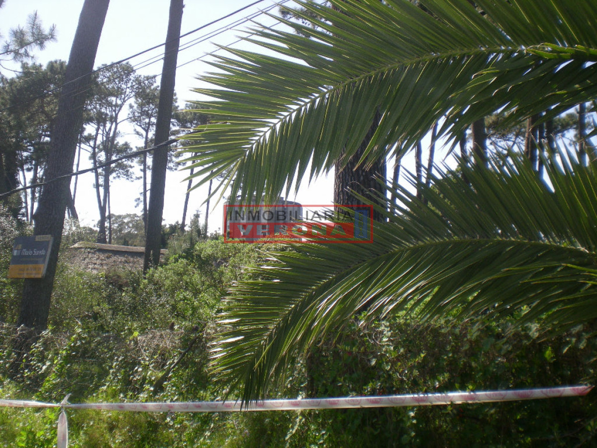 Lugano - GoPunta - Portal Inmobiliario de Punta del Este - Maldonado