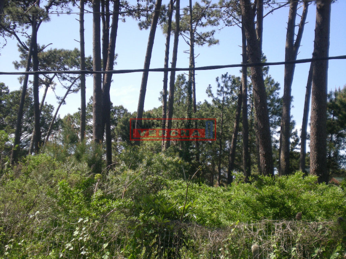 Lugano - GoPunta - Portal Inmobiliario de Punta del Este - Maldonado