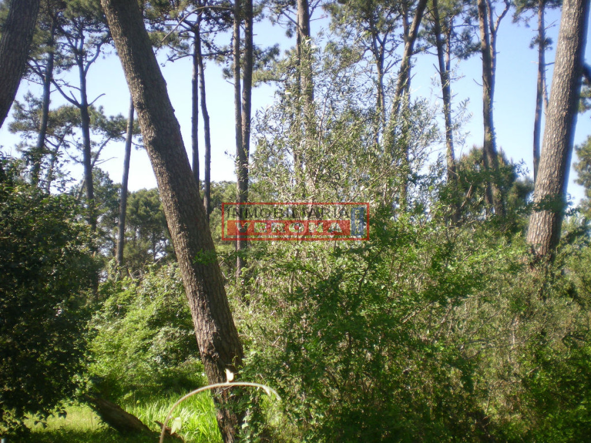 Lugano - GoPunta - Portal Inmobiliario de Punta del Este - Maldonado