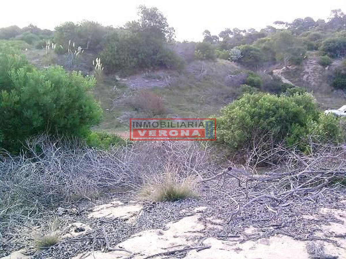 Punta Ballena - GoPunta - Portal Inmobiliario de Punta del Este - Maldonado