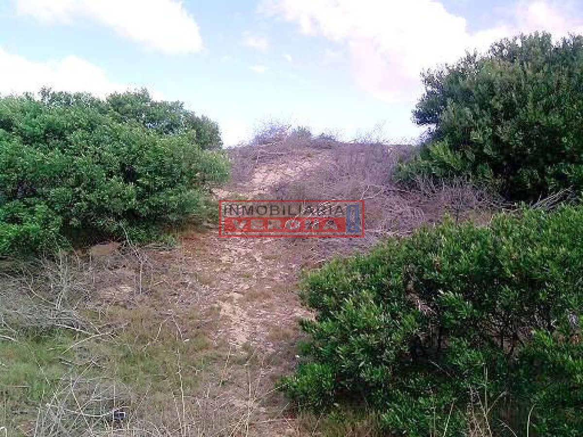 Punta Ballena - GoPunta - Portal Inmobiliario de Punta del Este - Maldonado
