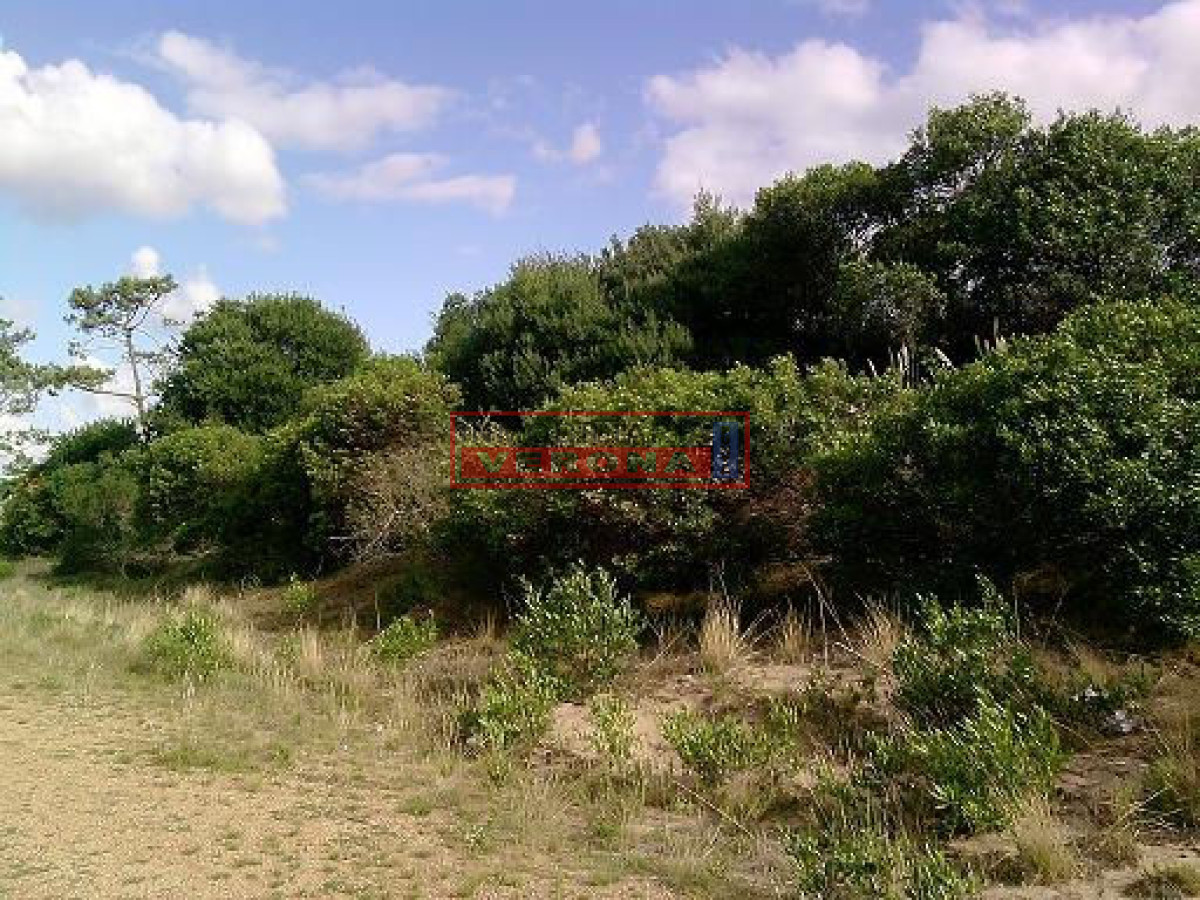 Punta Ballena - GoPunta - Portal Inmobiliario de Punta del Este - Maldonado