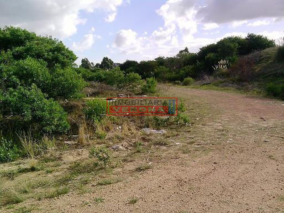 Punta Ballena - GoPunta - Portal Inmobiliario de Punta del Este - Maldonado