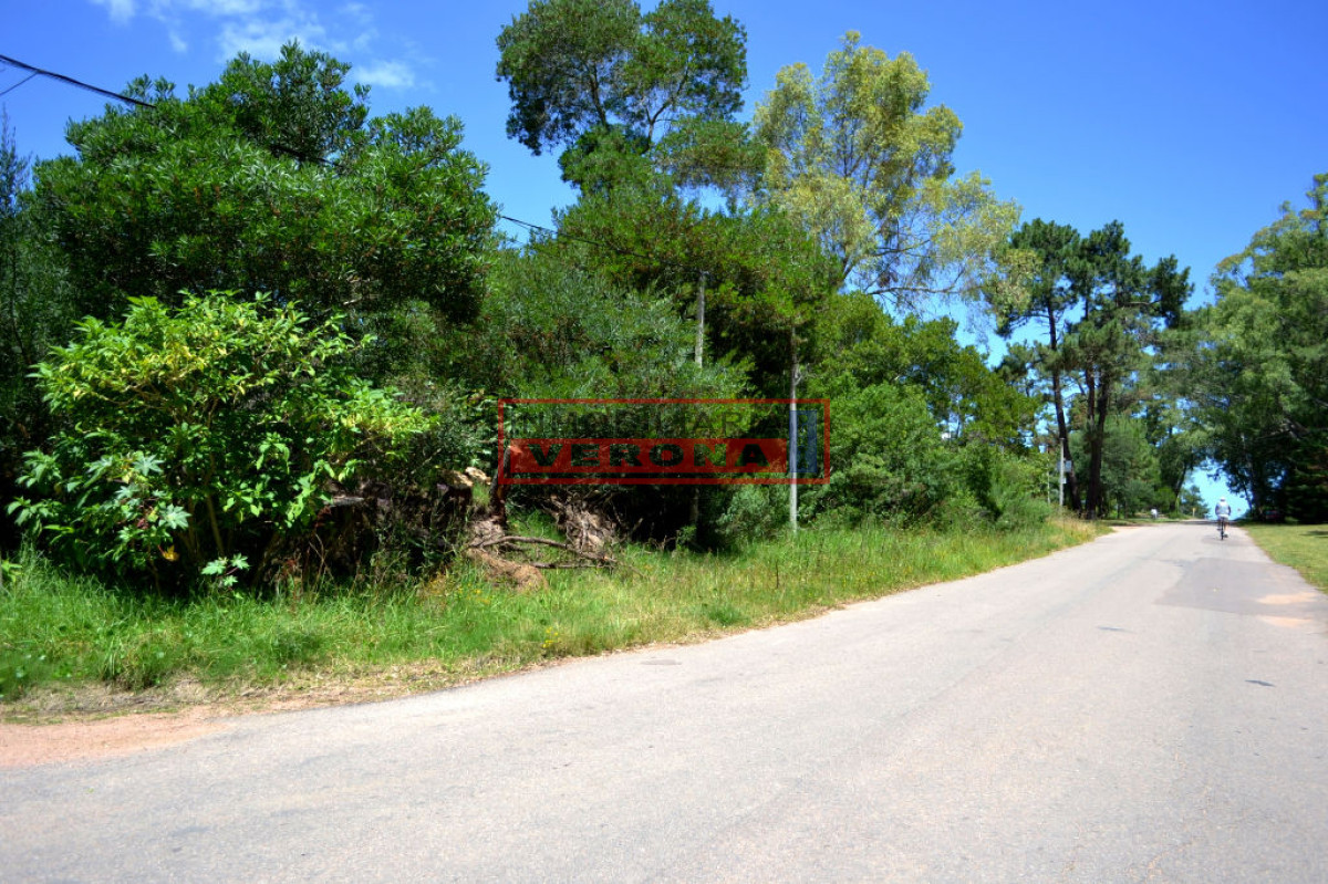 Rincu00f3n del Indio - GoPunta - Portal Inmobiliario de Punta del Este - Maldonado