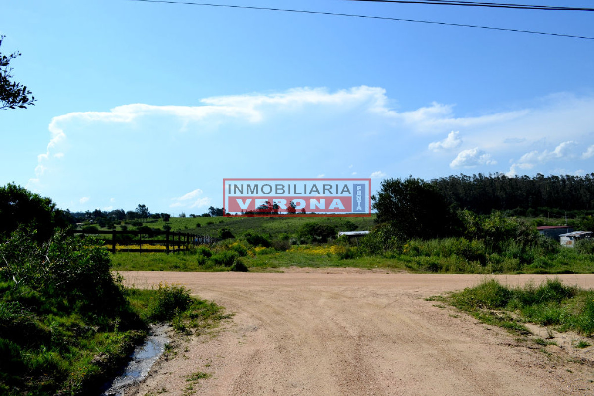Balneario Buenos Aires - GoPunta - Portal Inmobiliario de Punta del Este - Maldonado