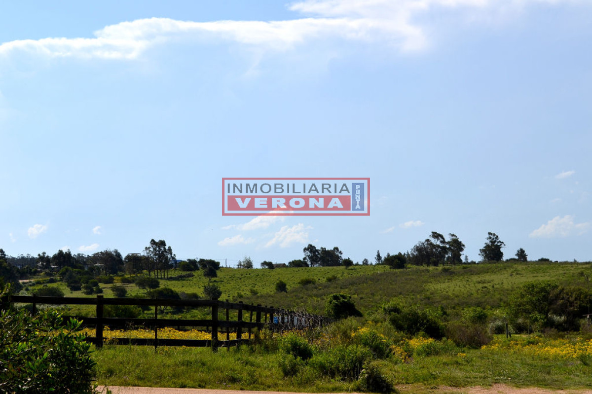 Balneario Buenos Aires - GoPunta - Portal Inmobiliario de Punta del Este - Maldonado