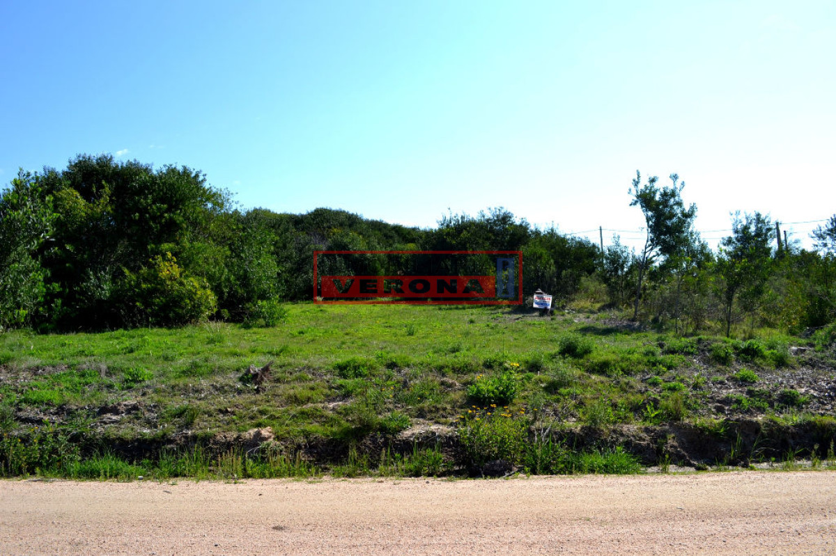 Balneario Buenos Aires - GoPunta - Portal Inmobiliario de Punta del Este - Maldonado