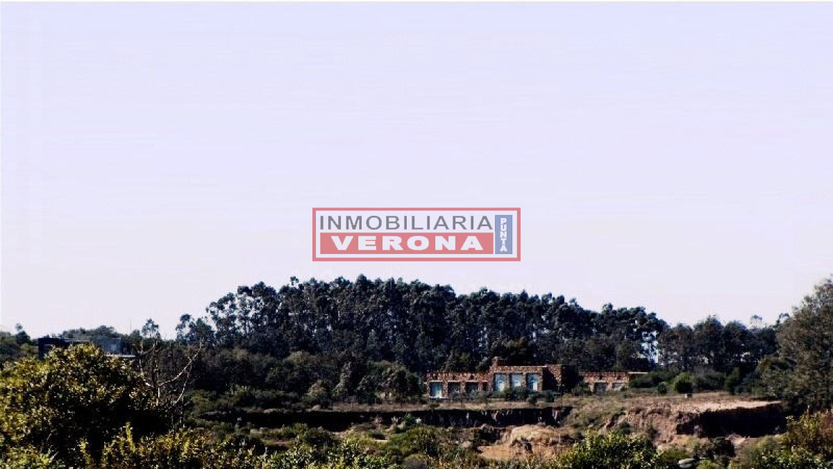 La Juanita - GoPunta - Portal Inmobiliario de Punta del Este - Maldonado