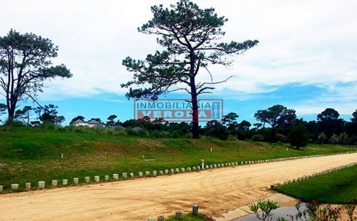 Josu00e9 Ignacio - GoPunta - Portal Inmobiliario de Punta del Este - Maldonado