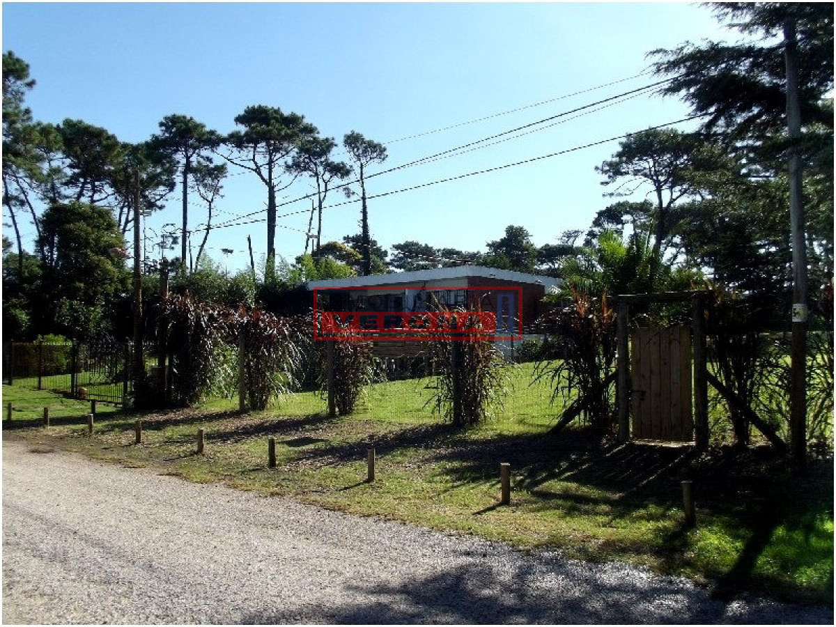 Lugano - GoPunta - Portal Inmobiliario de Punta del Este - Maldonado