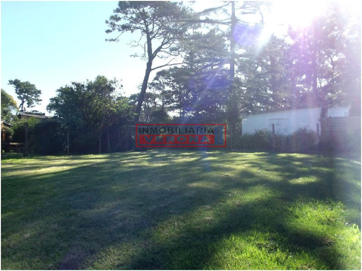 Lugano - GoPunta - Portal Inmobiliario de Punta del Este - Maldonado