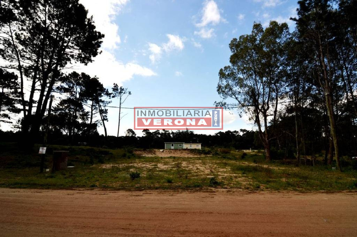 Pinares - GoPunta - Portal Inmobiliario de Punta del Este - Maldonado