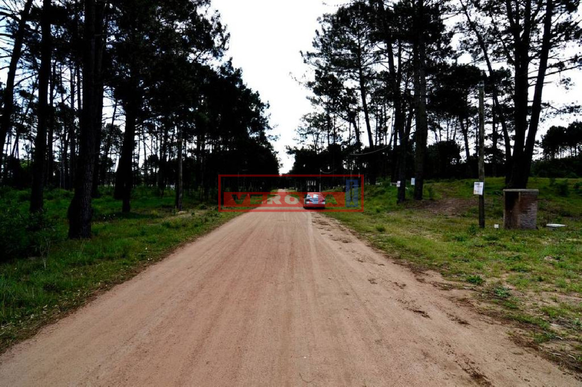 Pinares - GoPunta - Portal Inmobiliario de Punta del Este - Maldonado