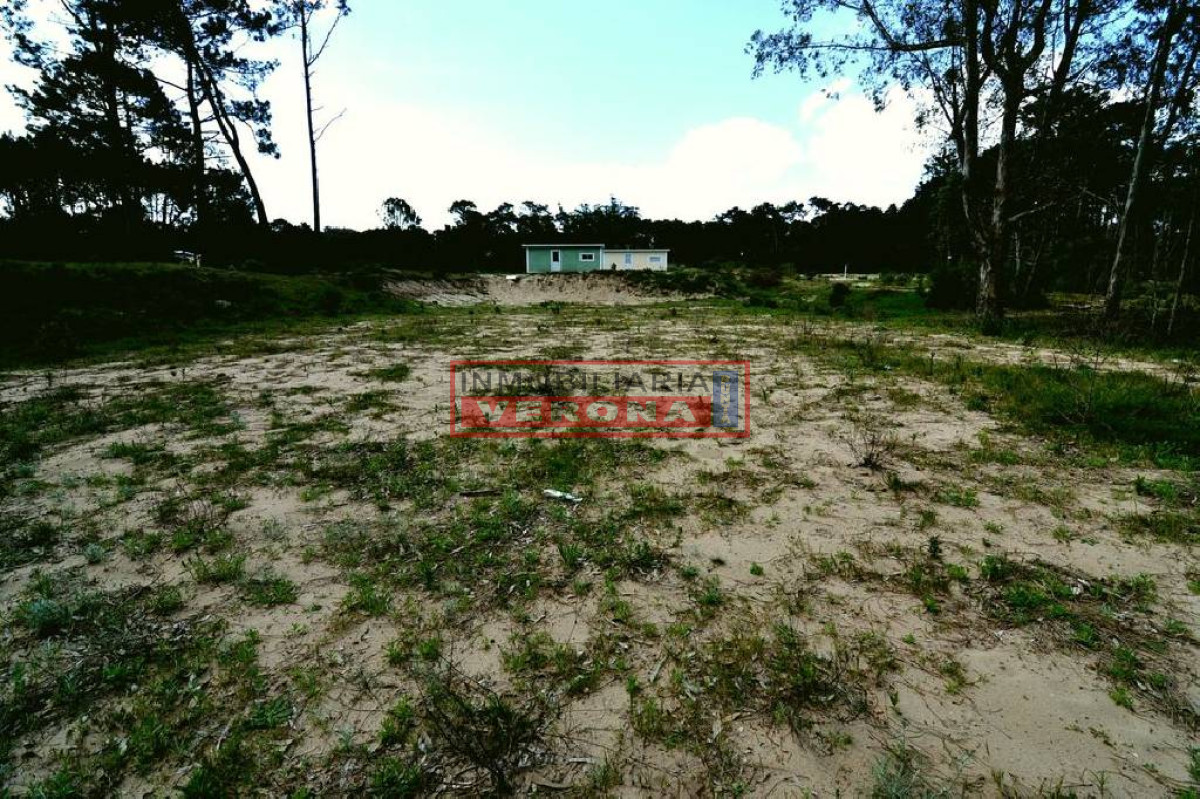 Pinares - GoPunta - Portal Inmobiliario de Punta del Este - Maldonado