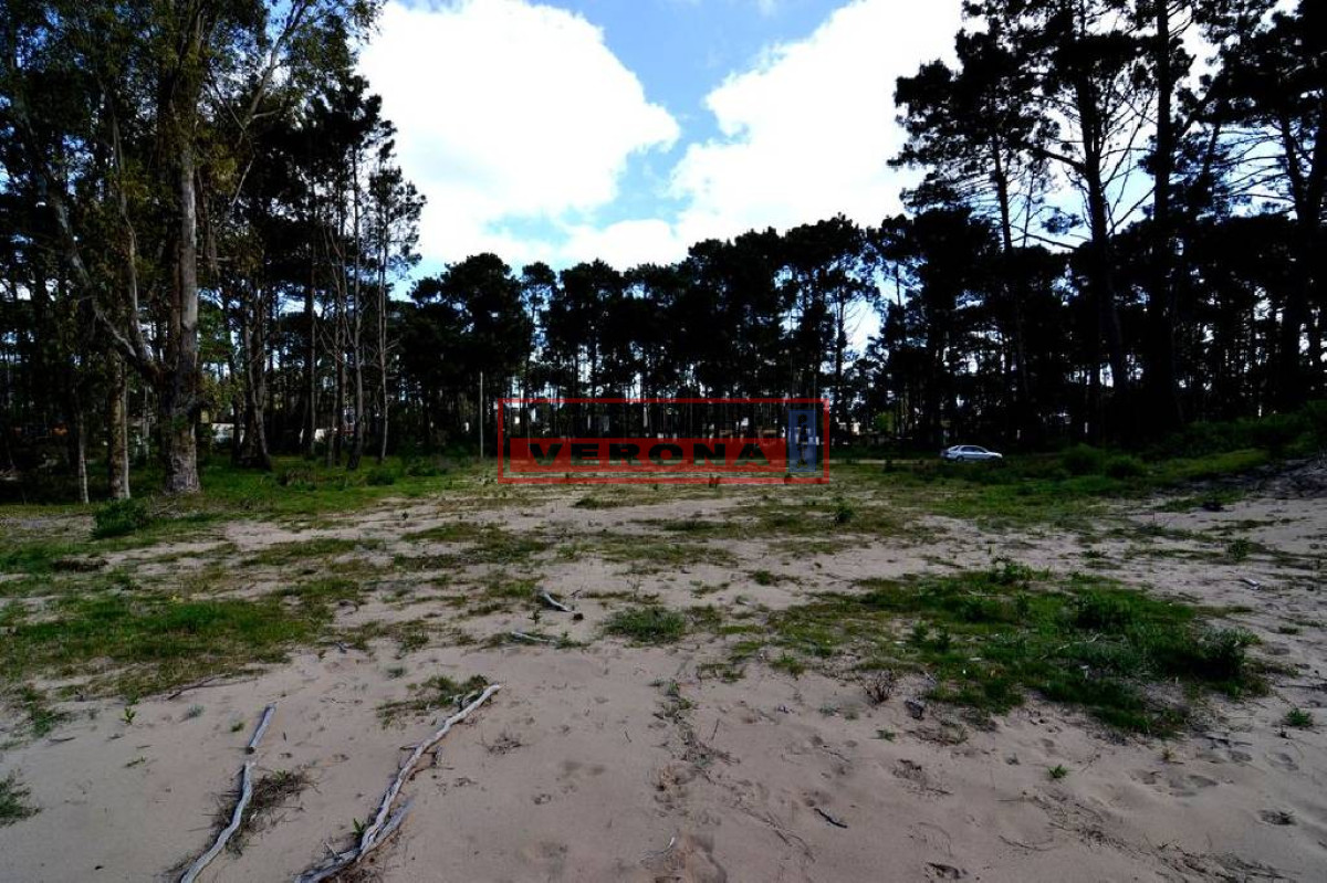 Pinares - GoPunta - Portal Inmobiliario de Punta del Este - Maldonado