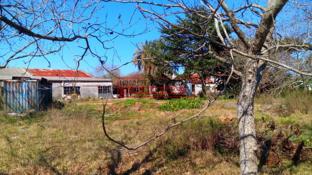 Centro Maldonado - GoPunta - Portal Inmobiliario de Punta del Este - Maldonado
