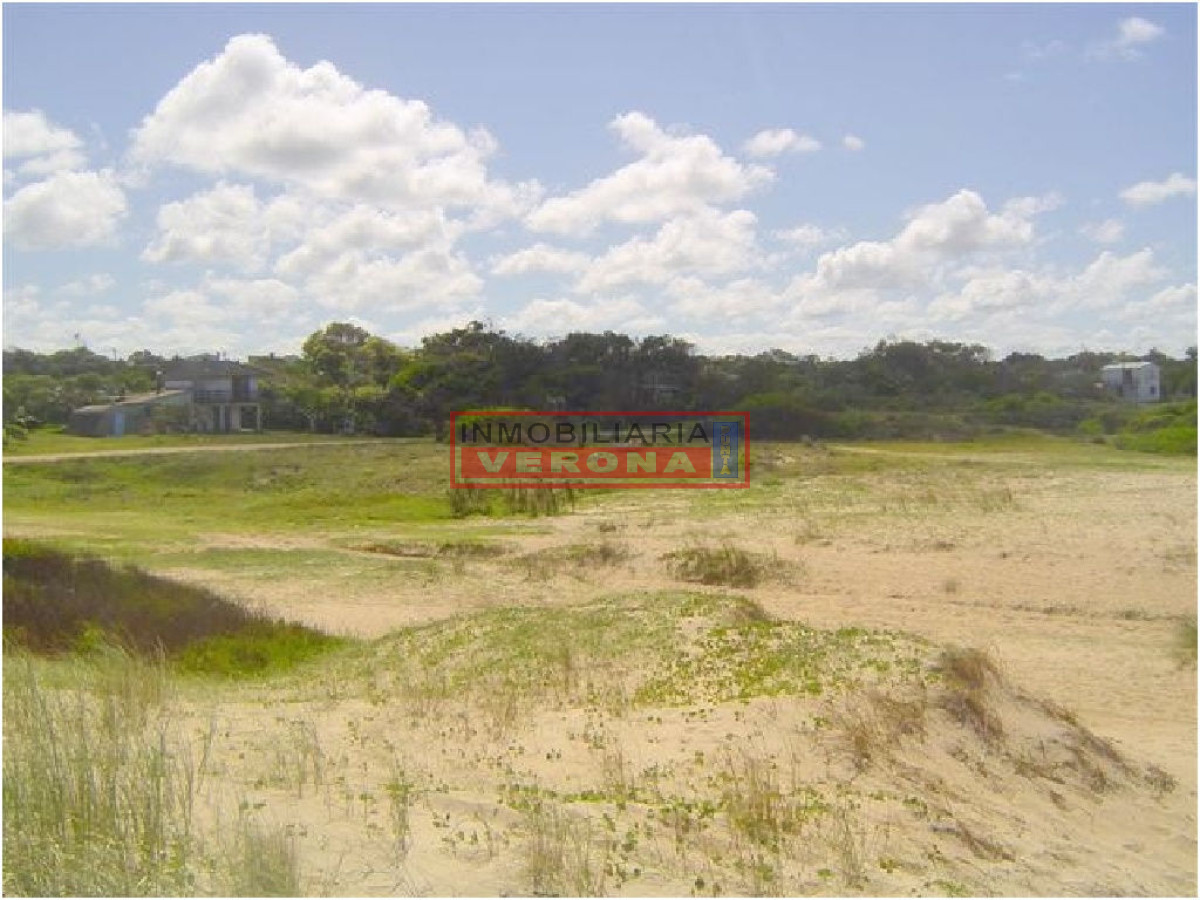 La Paloma - GoPunta - Portal Inmobiliario de Punta del Este - Maldonado