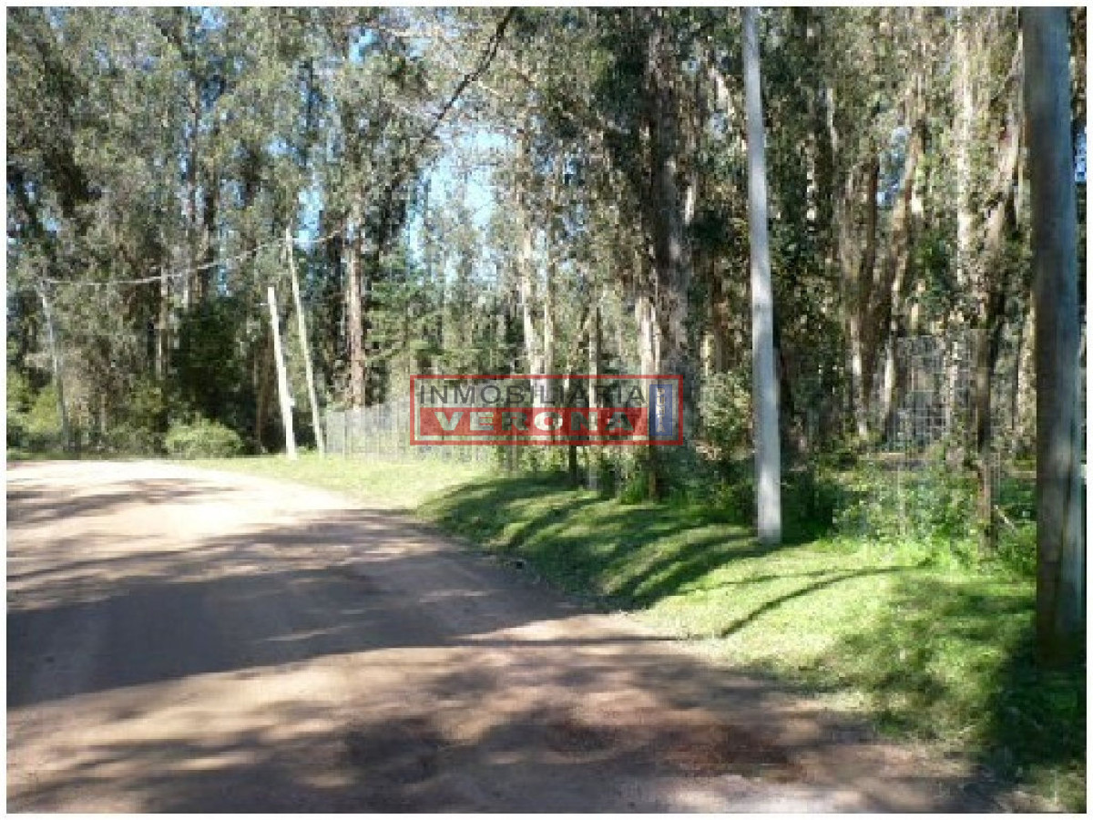 Rincu00f3n del Indio - GoPunta - Portal Inmobiliario de Punta del Este - Maldonado