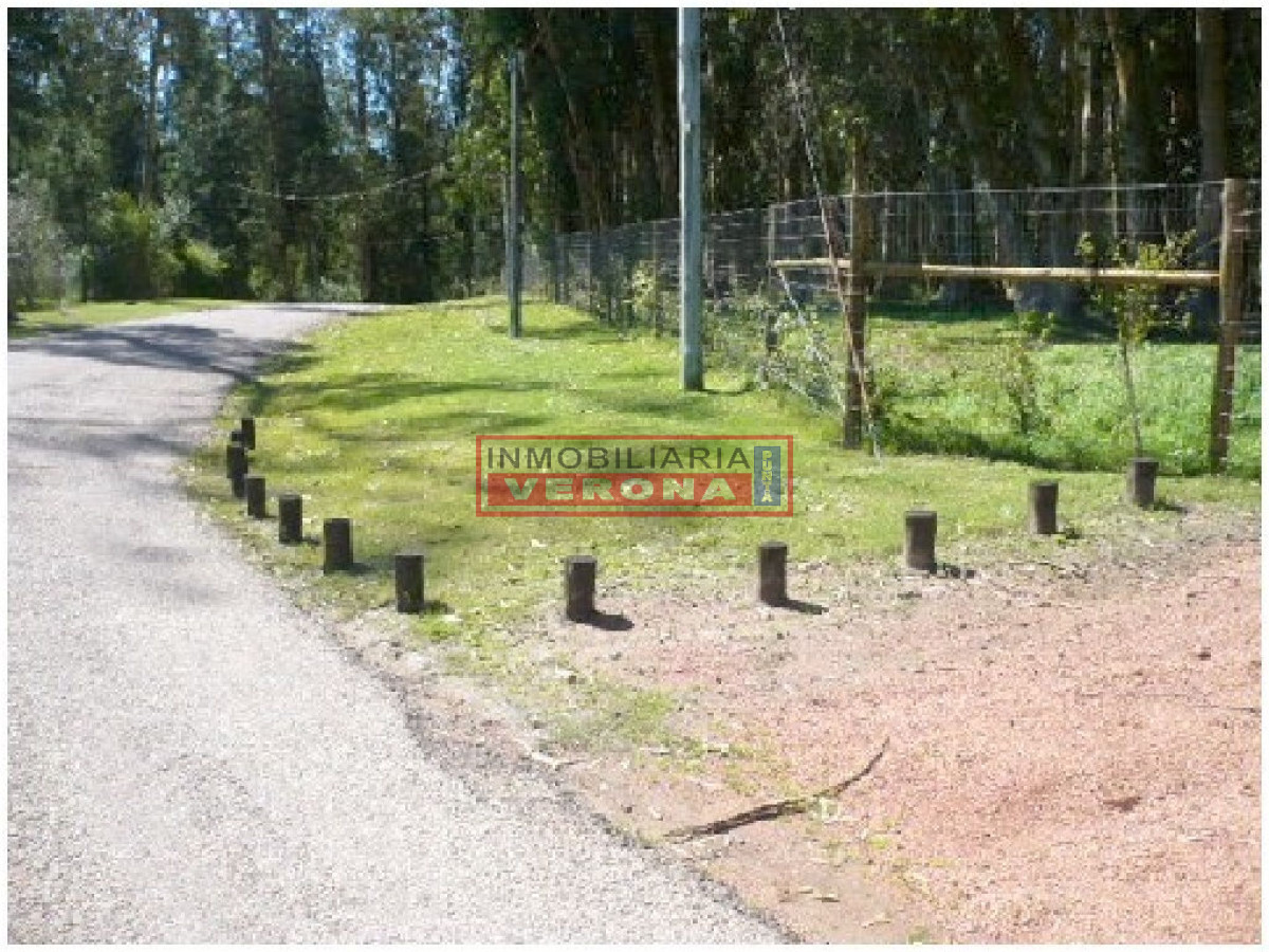 Rincu00f3n del Indio - GoPunta - Portal Inmobiliario de Punta del Este - Maldonado