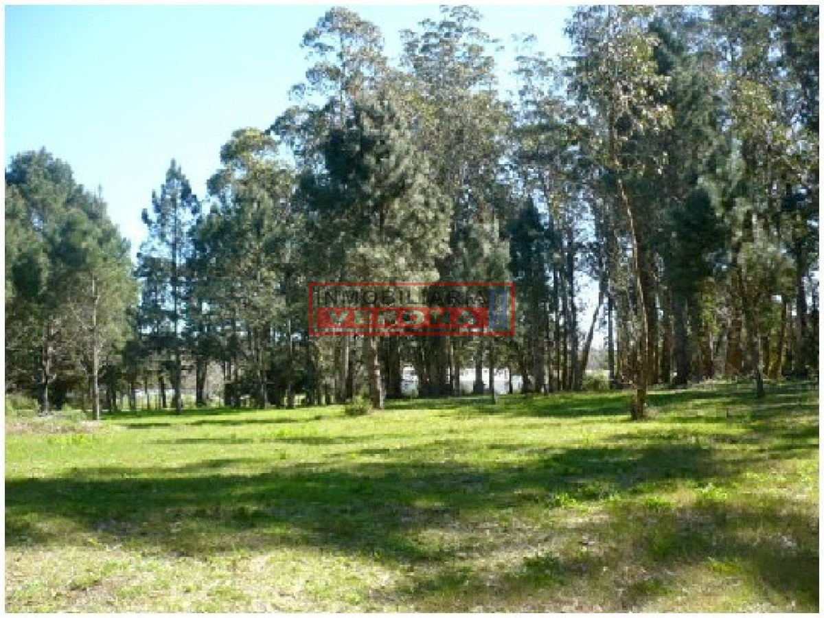 Rincu00f3n del Indio - GoPunta - Portal Inmobiliario de Punta del Este - Maldonado