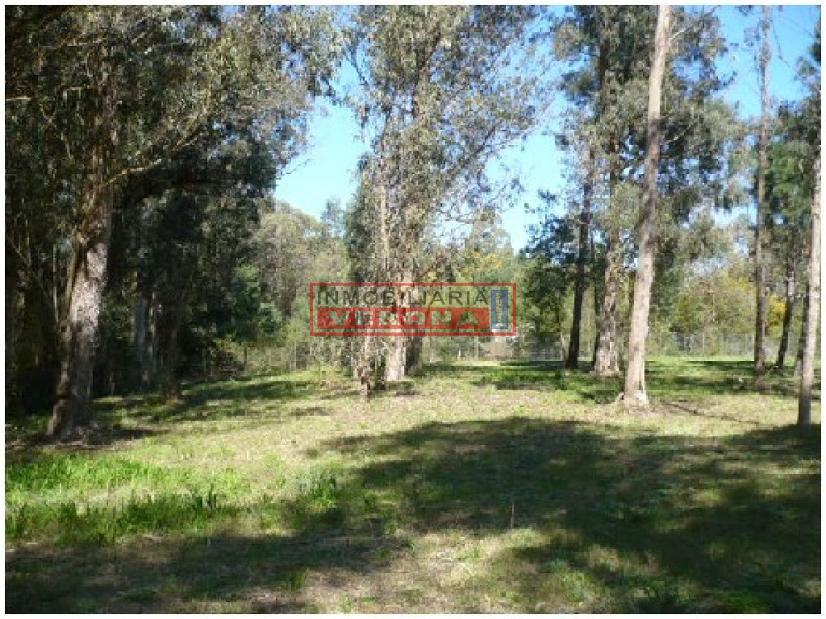 Rincu00f3n del Indio - GoPunta - Portal Inmobiliario de Punta del Este - Maldonado