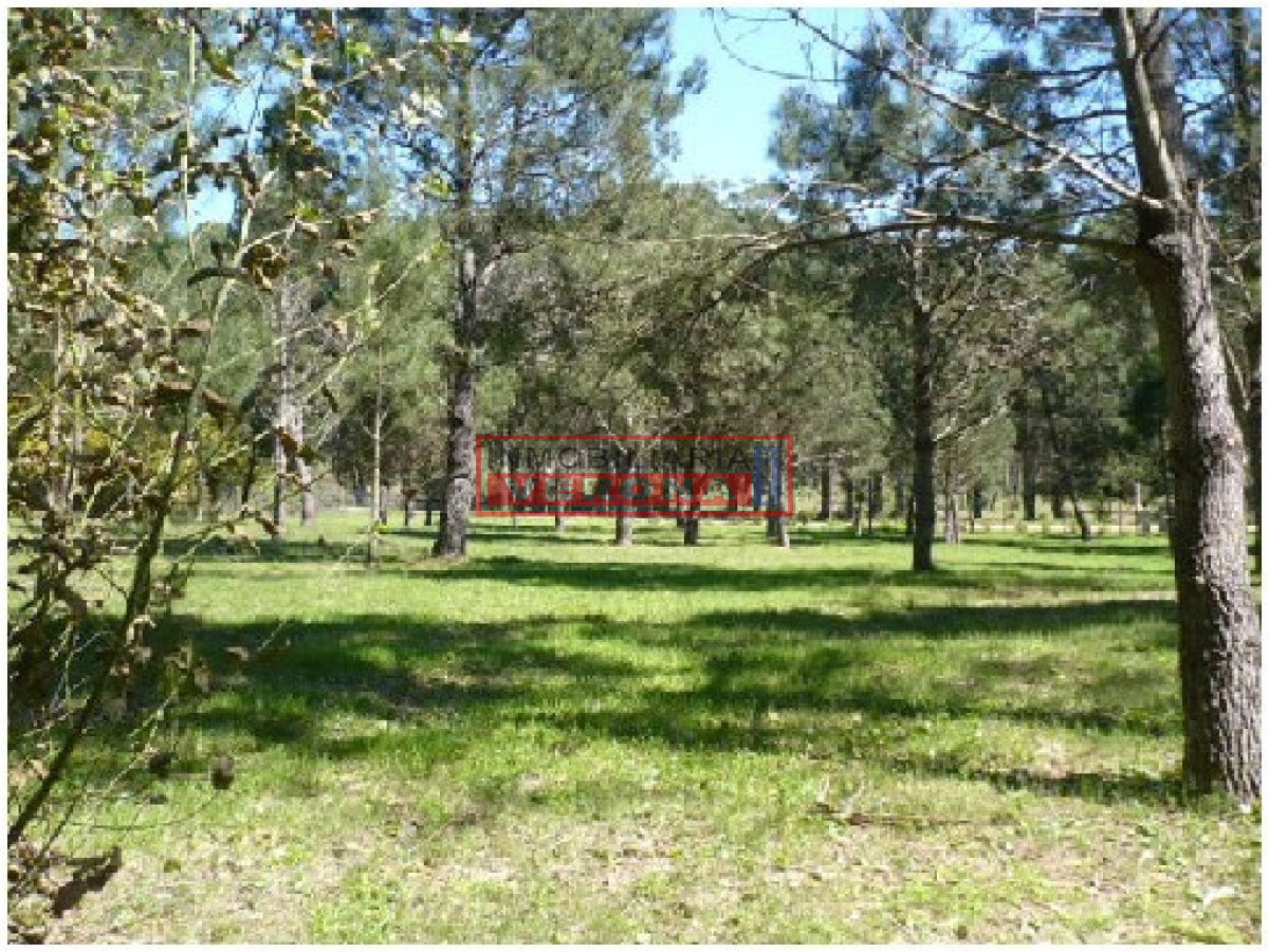 Rincu00f3n del Indio - GoPunta - Portal Inmobiliario de Punta del Este - Maldonado