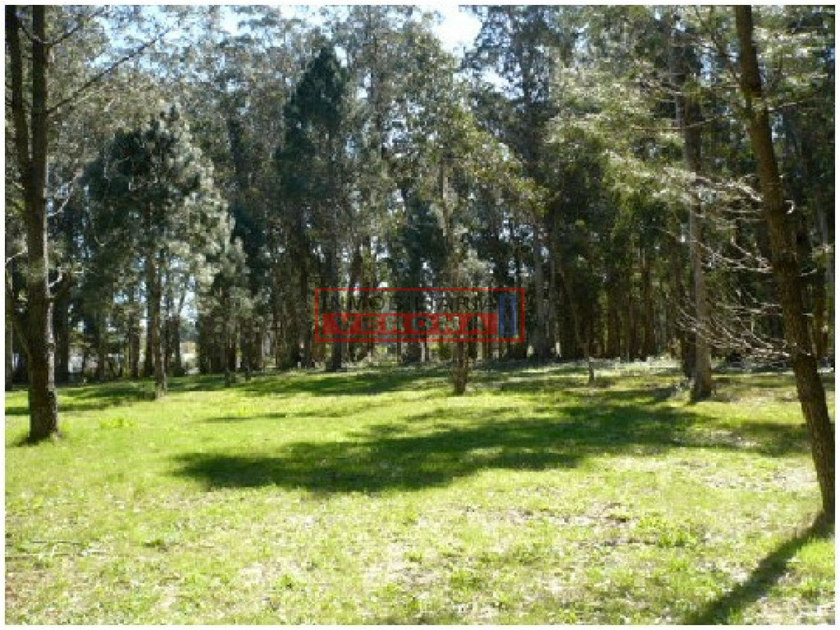 Rincu00f3n del Indio - GoPunta - Portal Inmobiliario de Punta del Este - Maldonado