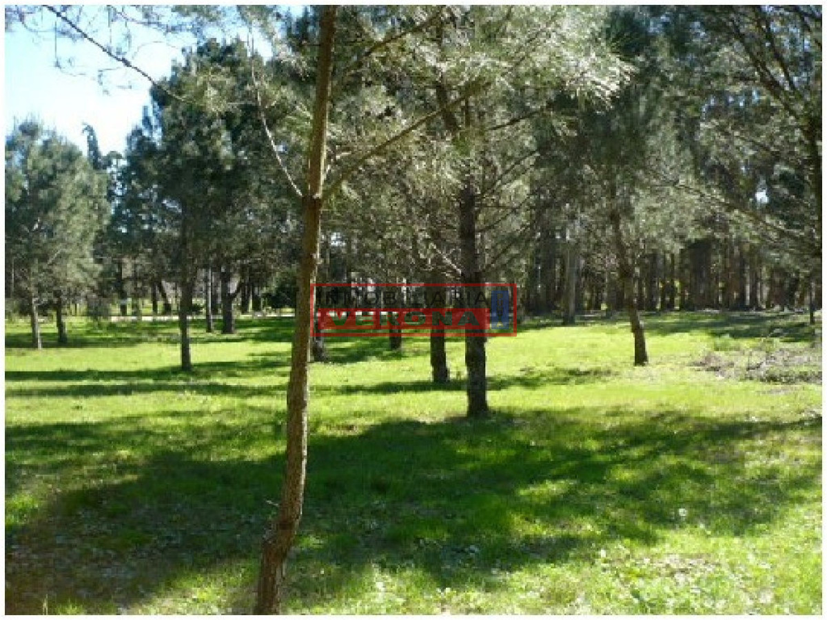 Rincu00f3n del Indio - GoPunta - Portal Inmobiliario de Punta del Este - Maldonado