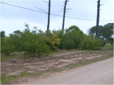 Terreno en Jose Ignacio, La Juanita