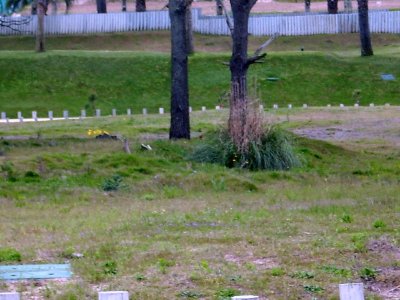 Terreno en Jose Ignacio, JosÃ© Ignacio